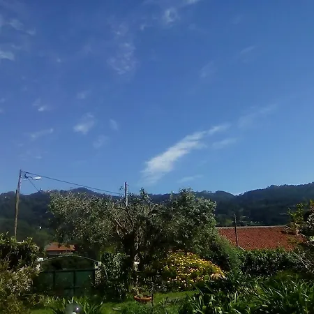 Garden Sintra