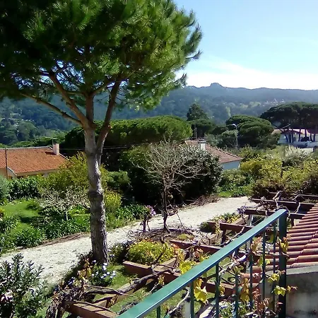別荘 Garden Sintra