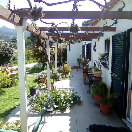 Garden Sintra