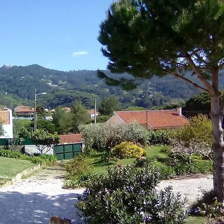 Garden Sintra *